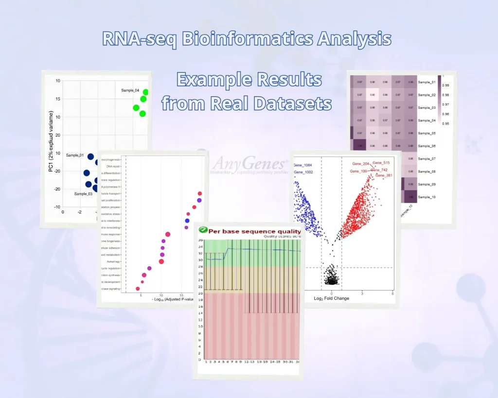 RNA-seq bioinformatics analysis example showing quality control metrics, differential expression results, and standardized reporting