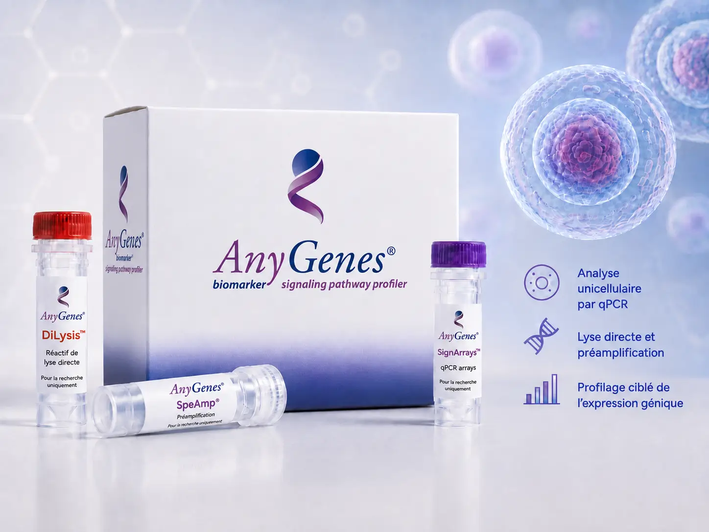 Analyse à cellule unique par qPCR avec réactifs SpeAmp DiLysis et SignArrays AnyGenes