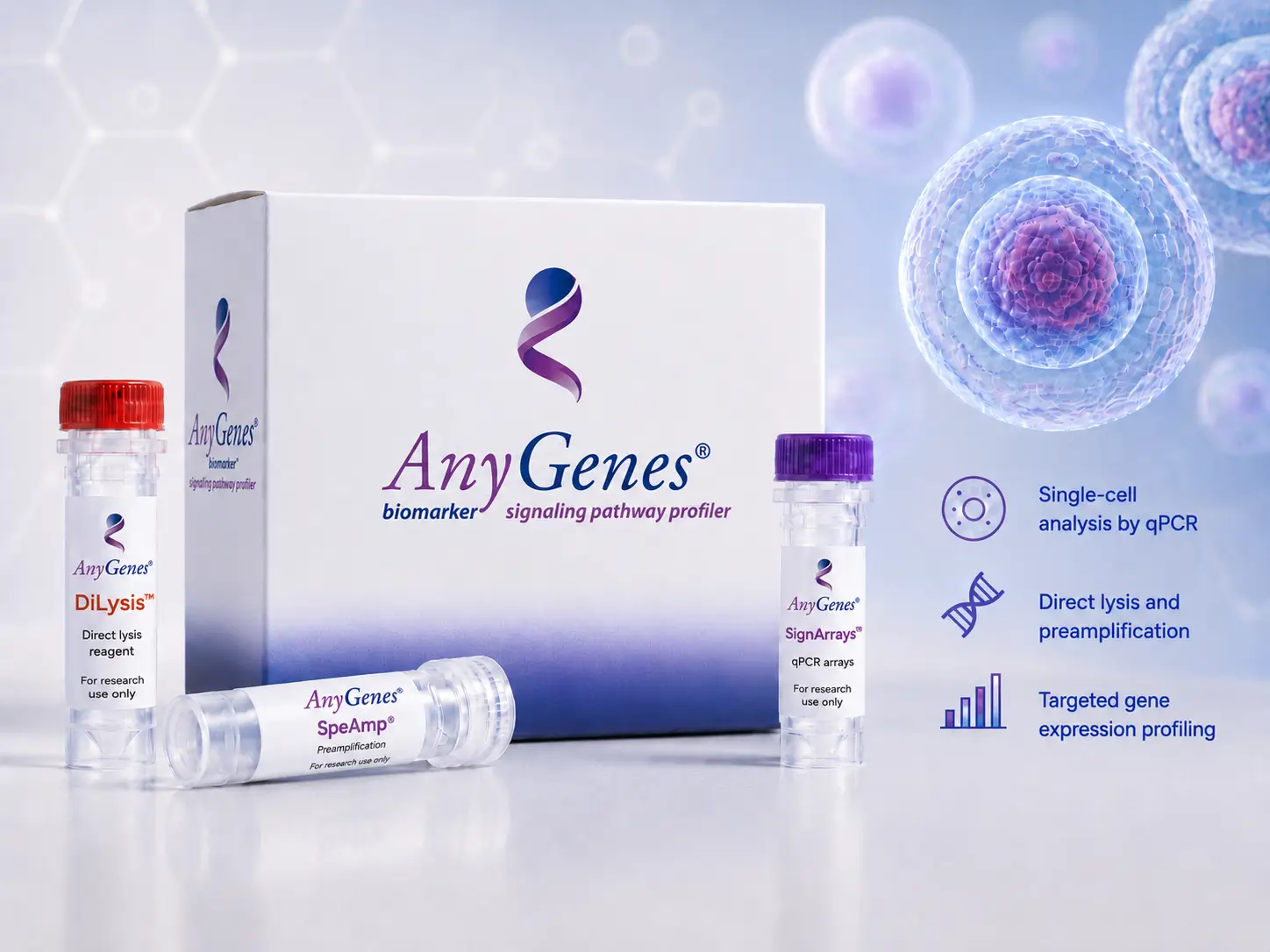 Single cell analysis by qPCR using direct lysis preamplification and SignArrays gene expression profiling